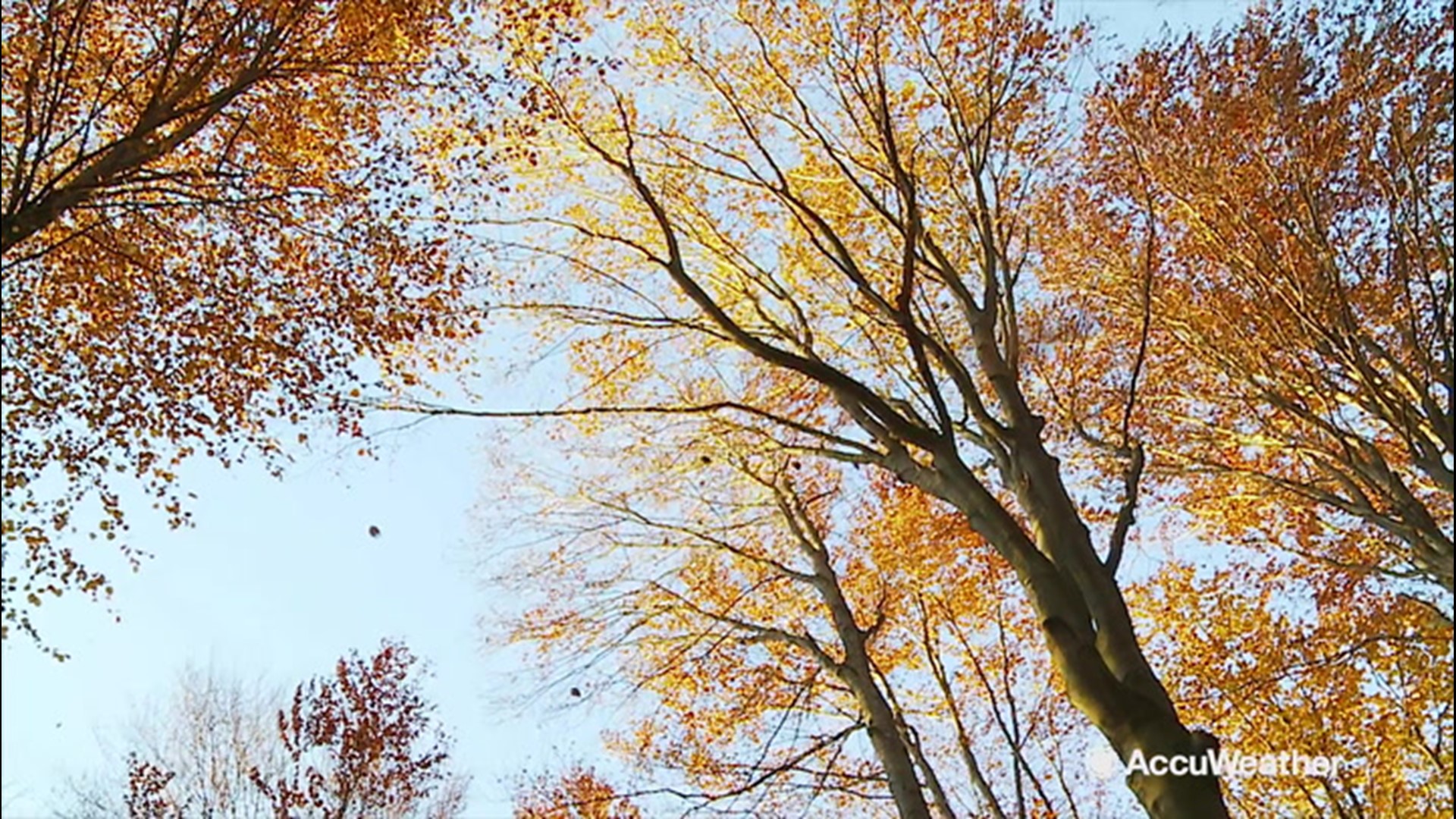 Despite being in the height of summer, we want to prepare you for what's ahead. So  AccuWeather Expert Long-Range Forecaster Paul Pastelok breaks down the Fall outlook across the country and why the summer clothes may need to stay out a little longer.