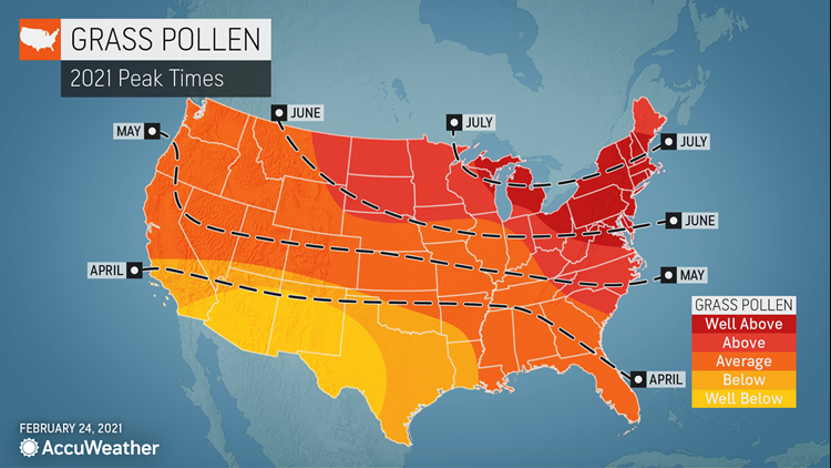 When will allergy season peak in 2021? An allergy forecast | abc10.com