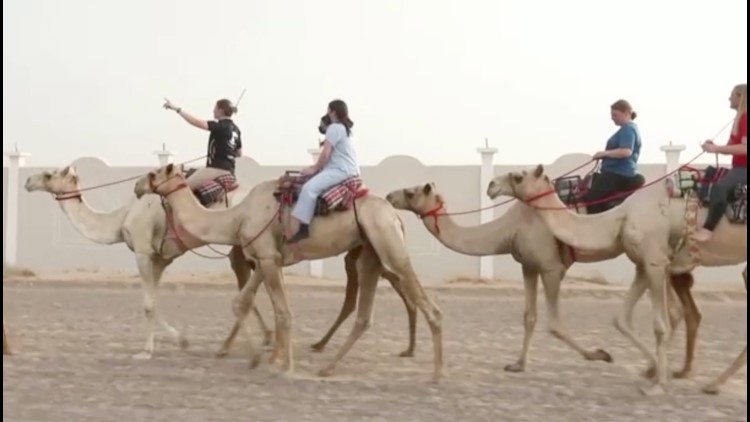 Take A Look at the First Official Licensed Camel Riding School