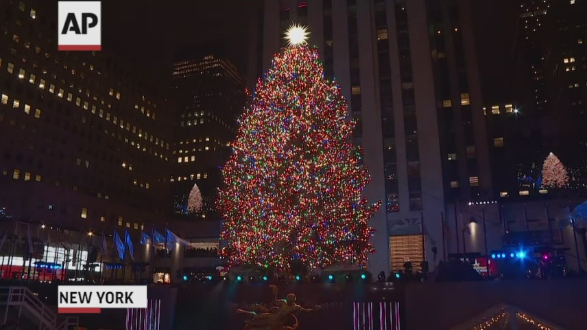 A massive Norway spruce has been lit up in a tradition that ushers in Christmastime in New York City. Mayor Bill de Blasio flipped the switch Wednesday night to light the Rockefeller Center Christmas Tree. (AP)