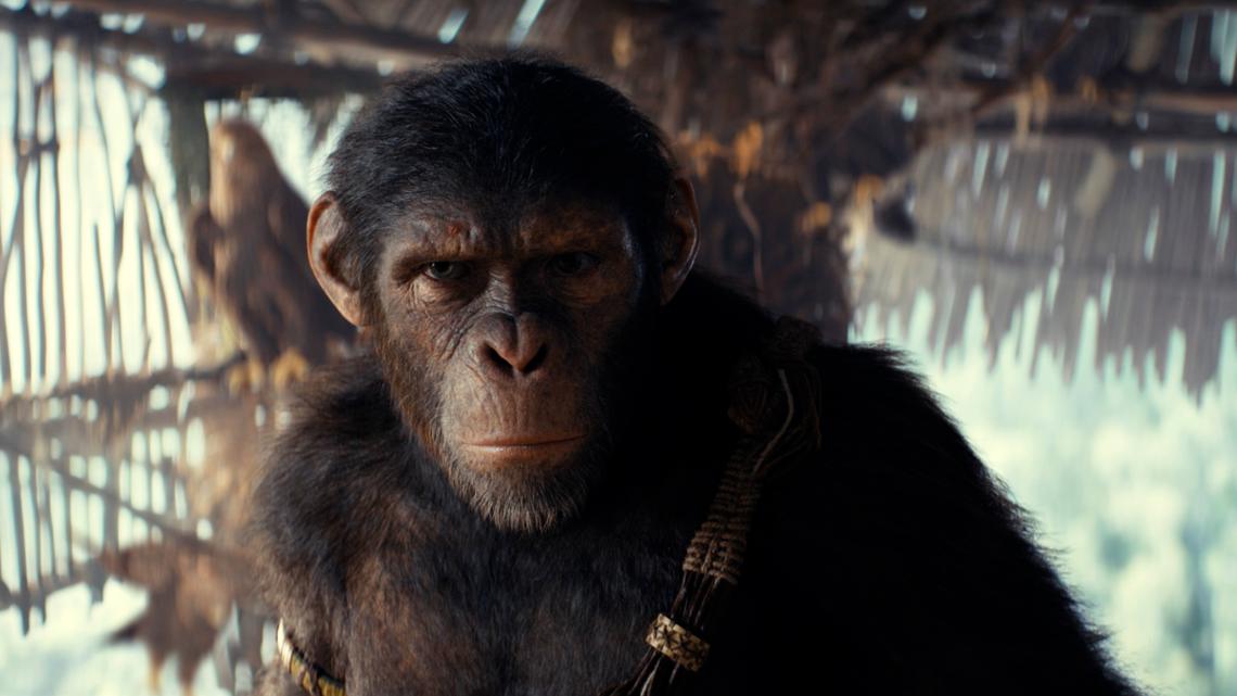 'Kingdom of the of the Apes' tops box office