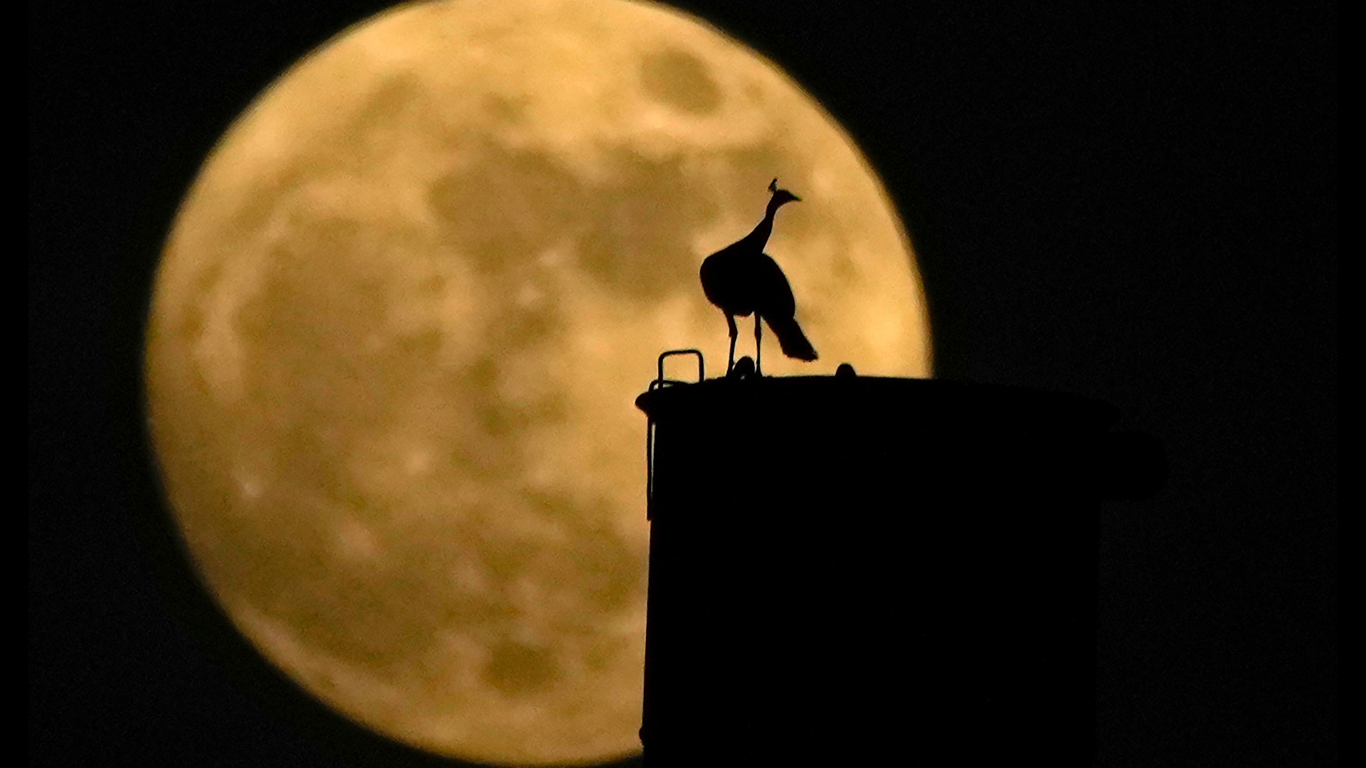 PHOTOS: Rare Blue Supermoon Lights Up August Night Sky | Abc10.com