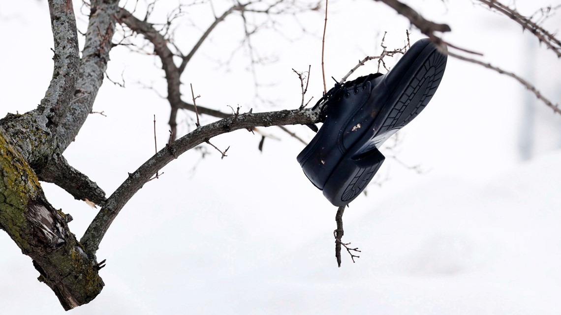 Buffalo braces for more dead as winter weather subsides - Vimarsana News