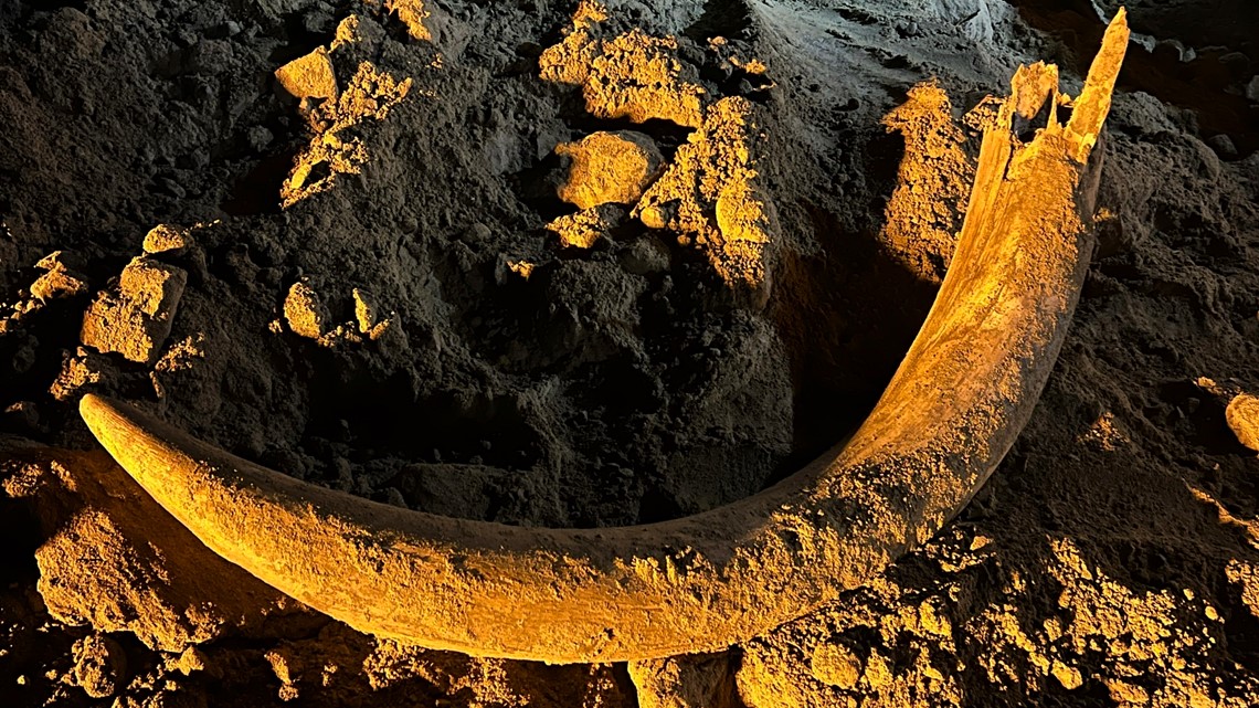 Coal miners in North Dakota unearth mammoth tusk - Vimarsana News