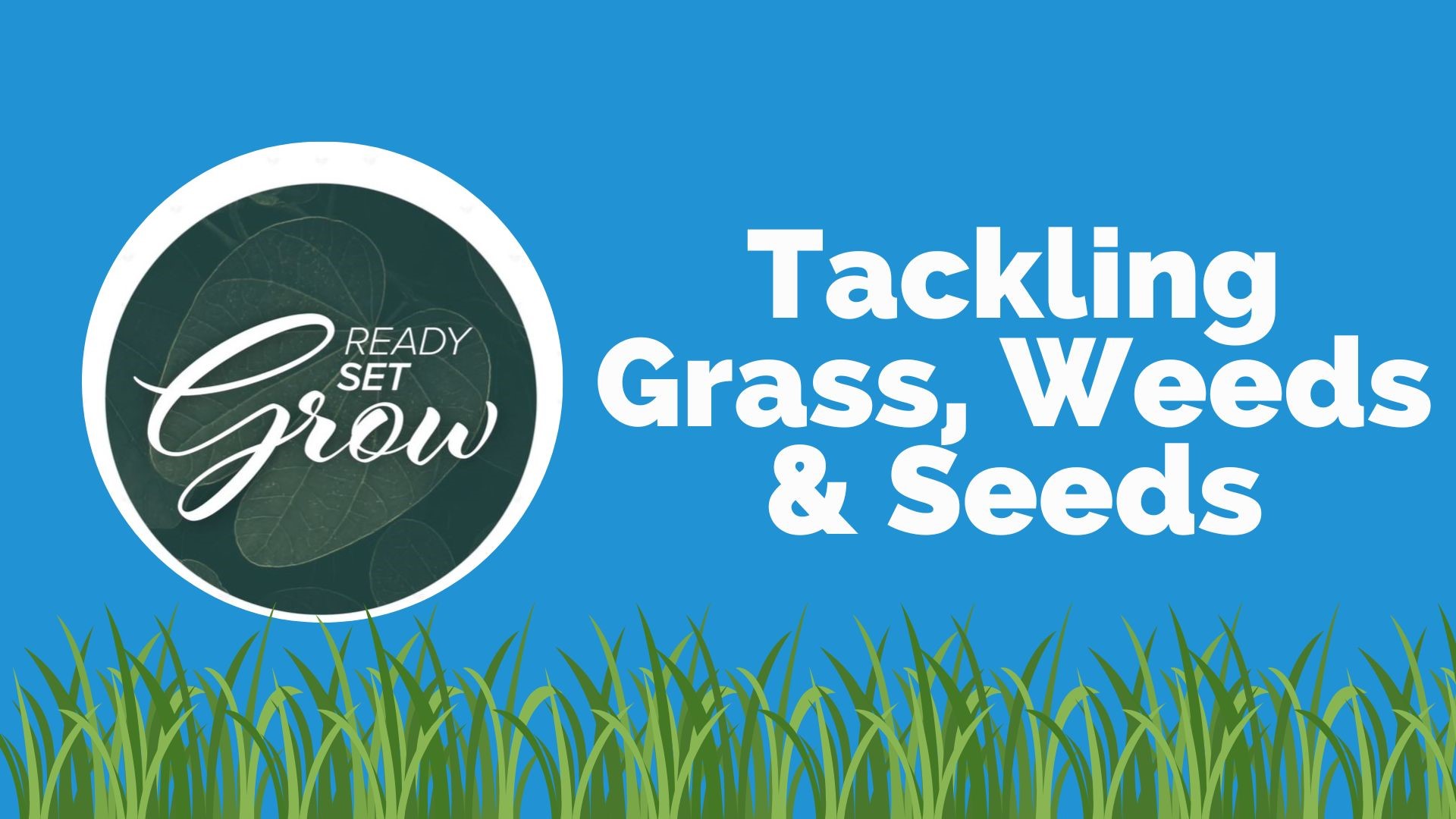 Getting you ready for all your spring planting with advice on planting grass seed, how to attract pollinators, ways to space out your seeds and more.