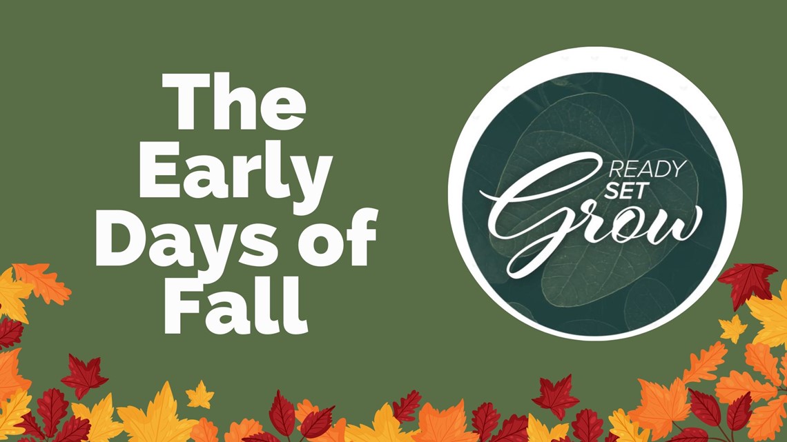 Ready, Set, Grow | The early days of fall