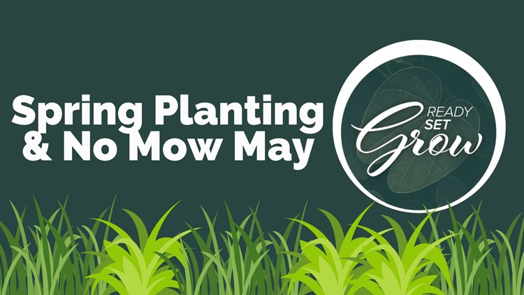 Ready, Set, Grow | Spring Planting and No Mow May