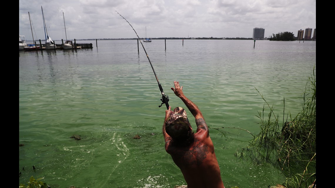 Are the fish in Florida's waters polluted with toxic algae safe to eat
