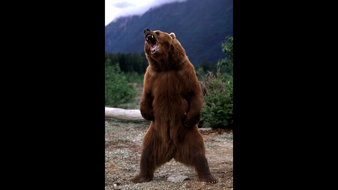 About 22 Of S P 500 In Correction Mode As Stealth Bear Market Stalks Wall Street Abc10 Com