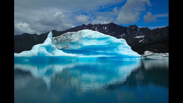 Kenai fjords national park coupons