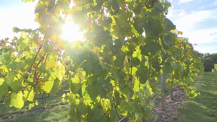Project 8 Winery proposal to go before Placer County supervisors in June