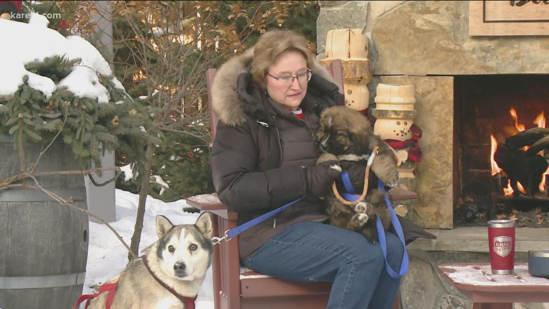 Dr. Jackie Piepkorn explained on Saturday morning what kind of dogs are considered sled dogs and why they enjoy running so much.