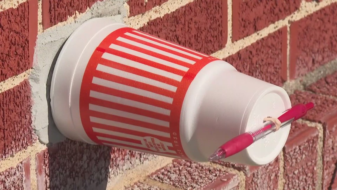 Can I use Styrofoam cups to protect pipes for freeze? - Vimarsana News