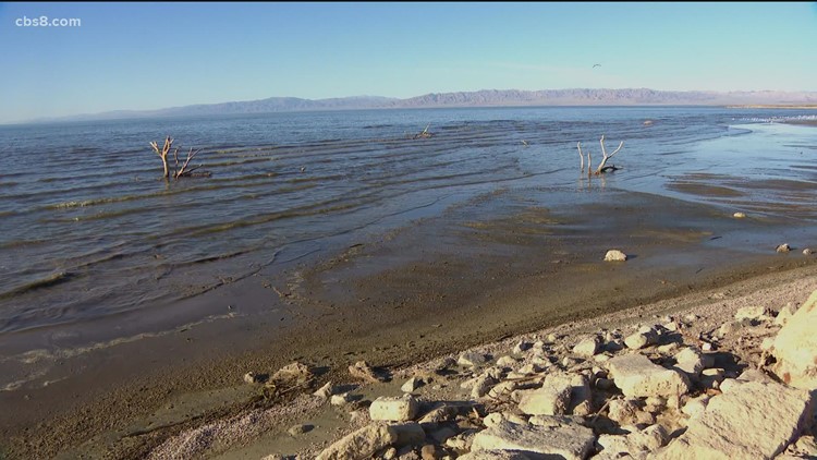 'This is going to be a game changer' | Treasure hidden under the Salton Sea could be inside the next car you buy
