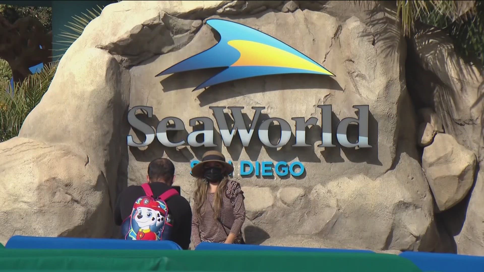 SeaWorld San Diego offering teachers free admission for 2024