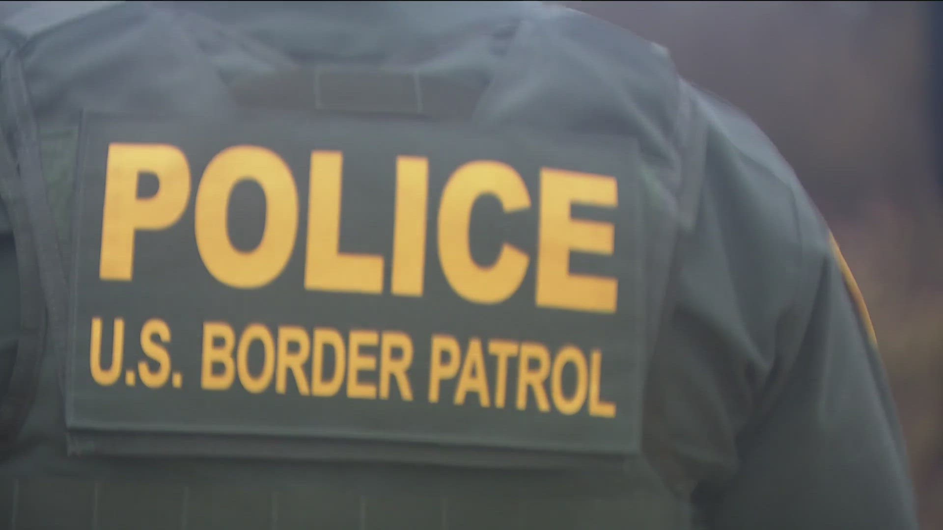A group of 88 people from 12 countries who attempted to enter the United States illegally from Mexico were detained by United States Border Patrol Agents.