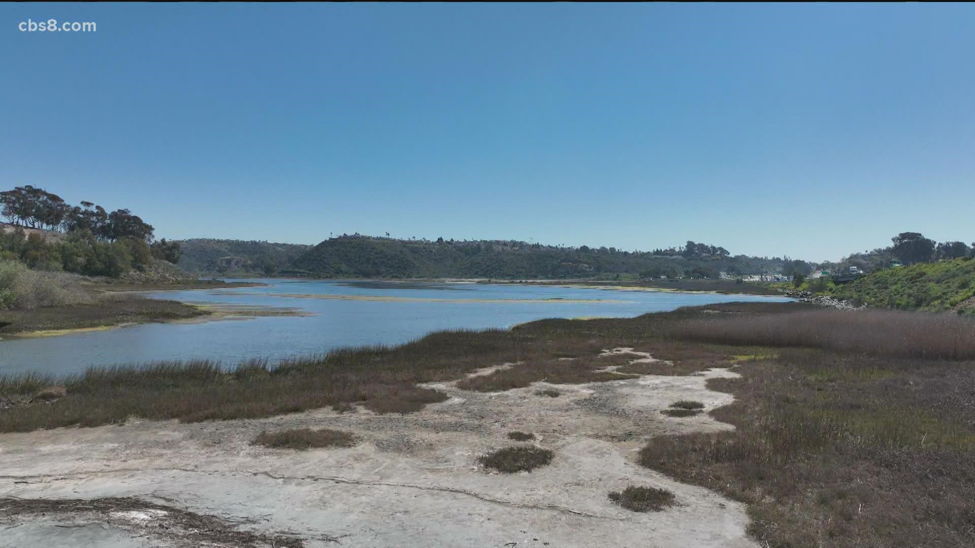Scientists at the Salk Institute in La Jolla are taking a new approach and studying the generic makeup of wetland plants to fight climate change.