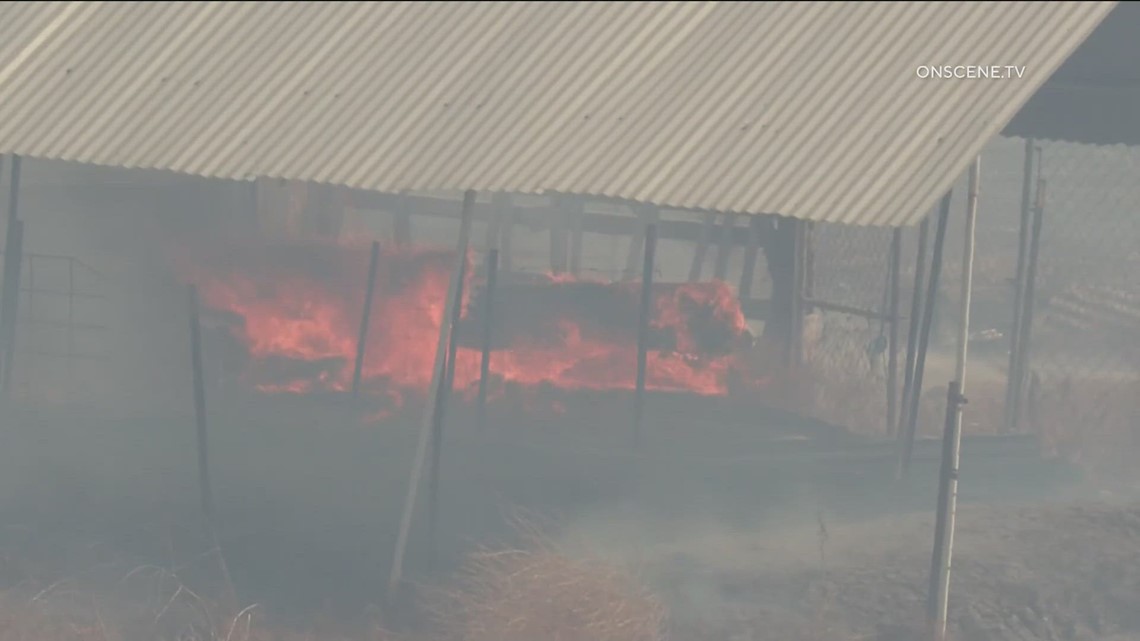 What you need to know and do to be prepared ahead of a wildfire - Vimarsana News