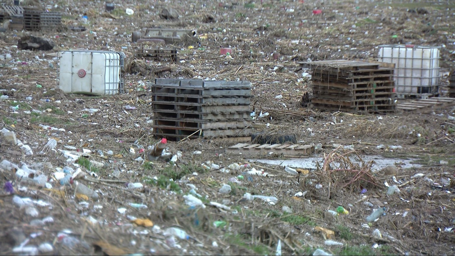 Imperial Beach Mayor Paloma Aguirre says the crisis is at a critical level never seen before.