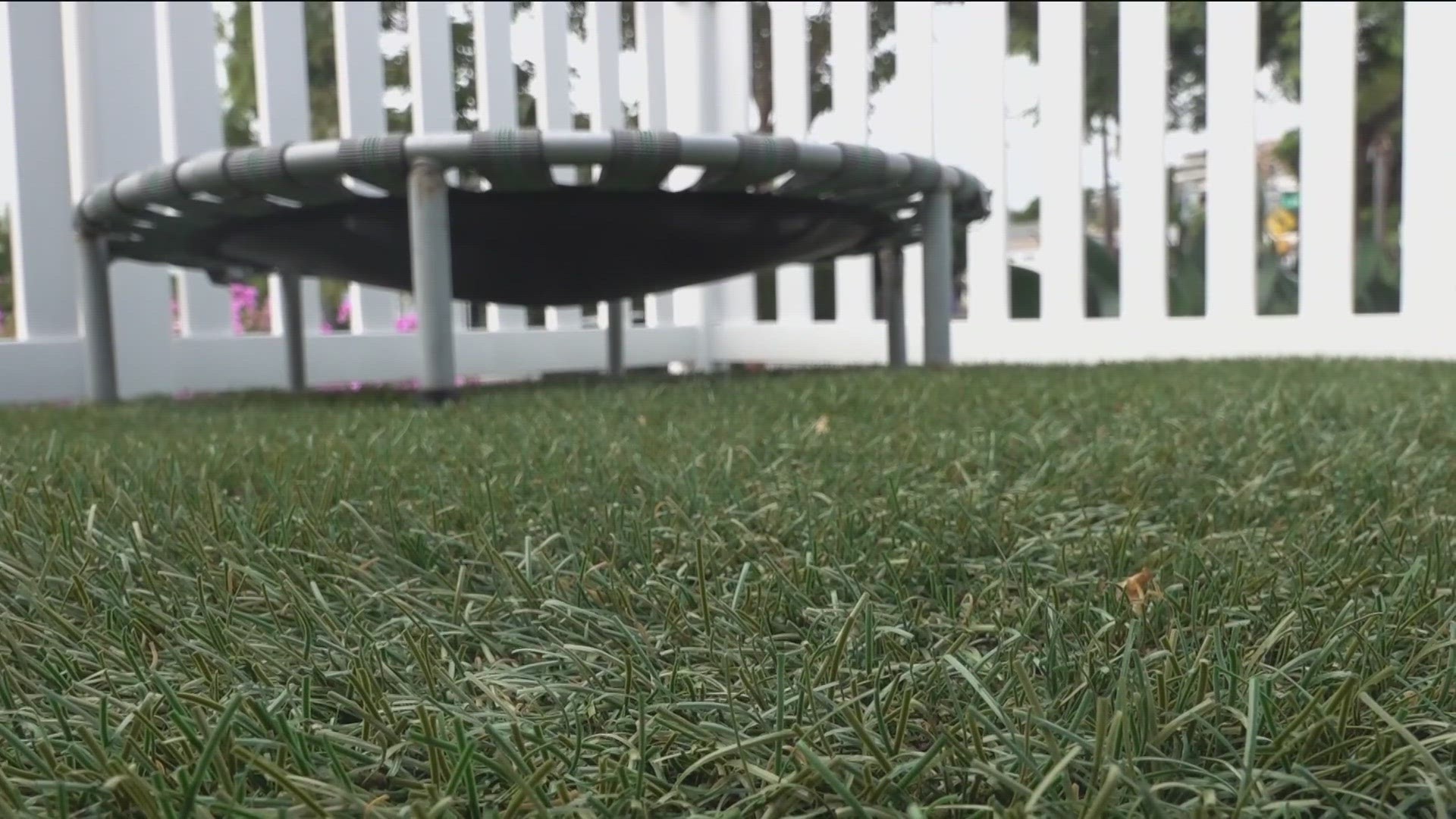 Governor Gavin Newsom signed a bill allowing local governments to ban artificial turf in residential areas.