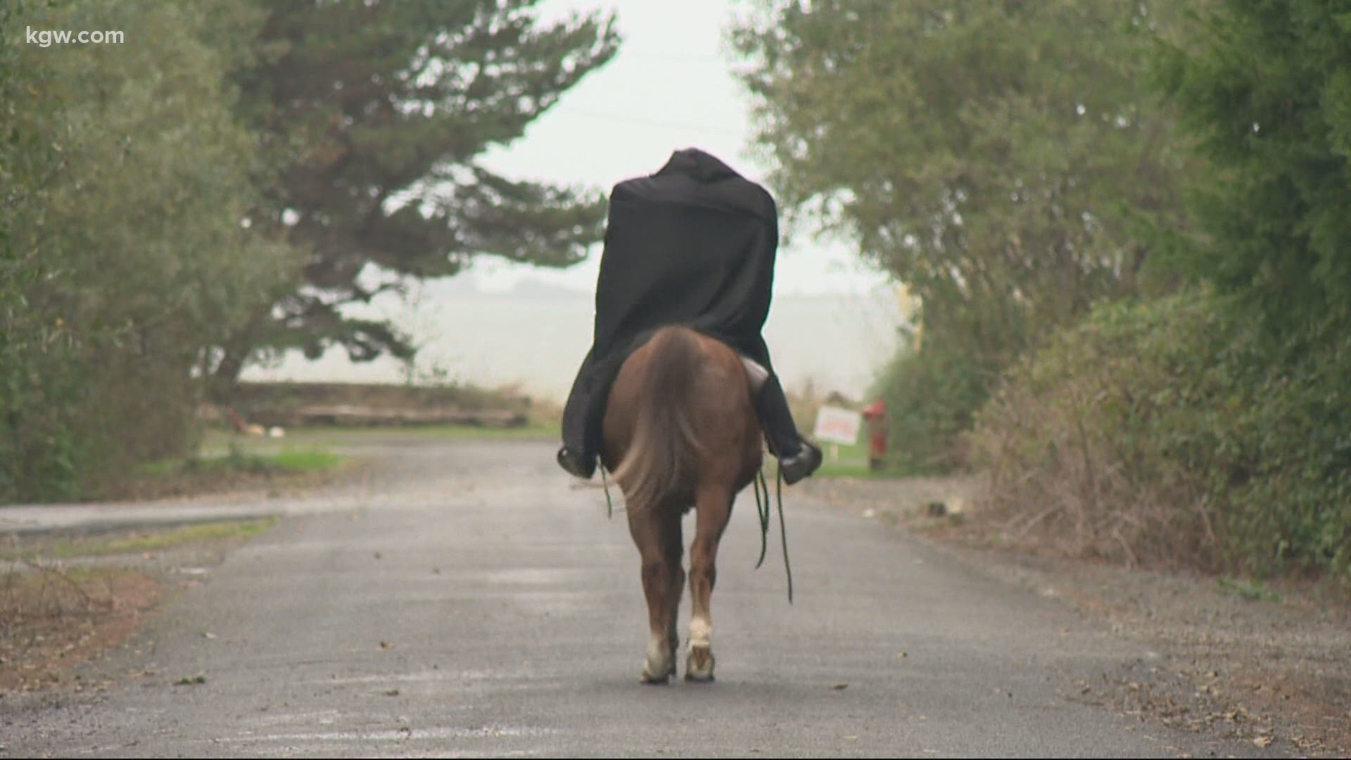 A woman who lives in the town of Chinook has a head-turning tradition with a “colt” following. Jon Goodwin has the story.