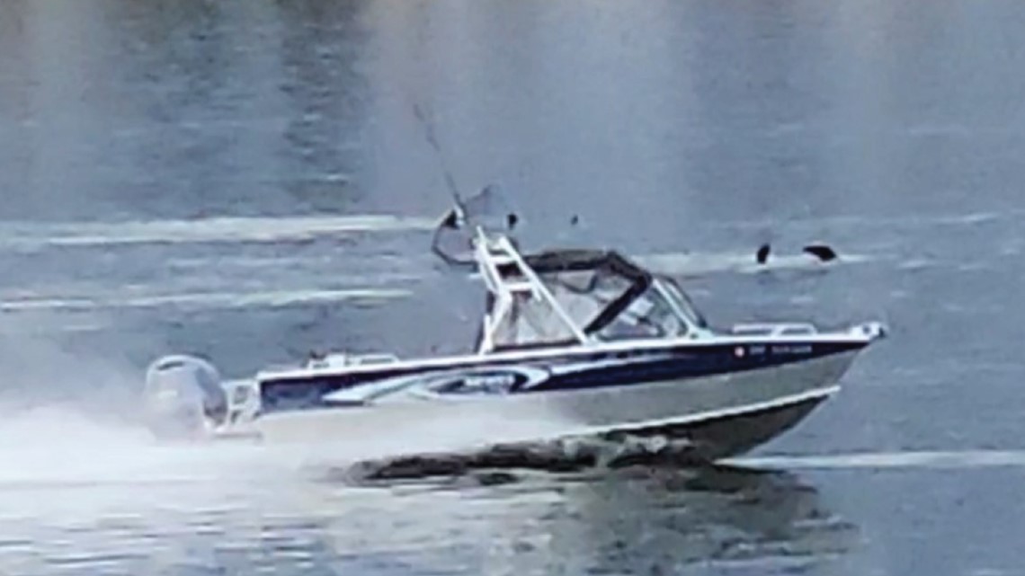 Reward offered in search of Oregon boater seen harassing sea lion - Vimarsana News