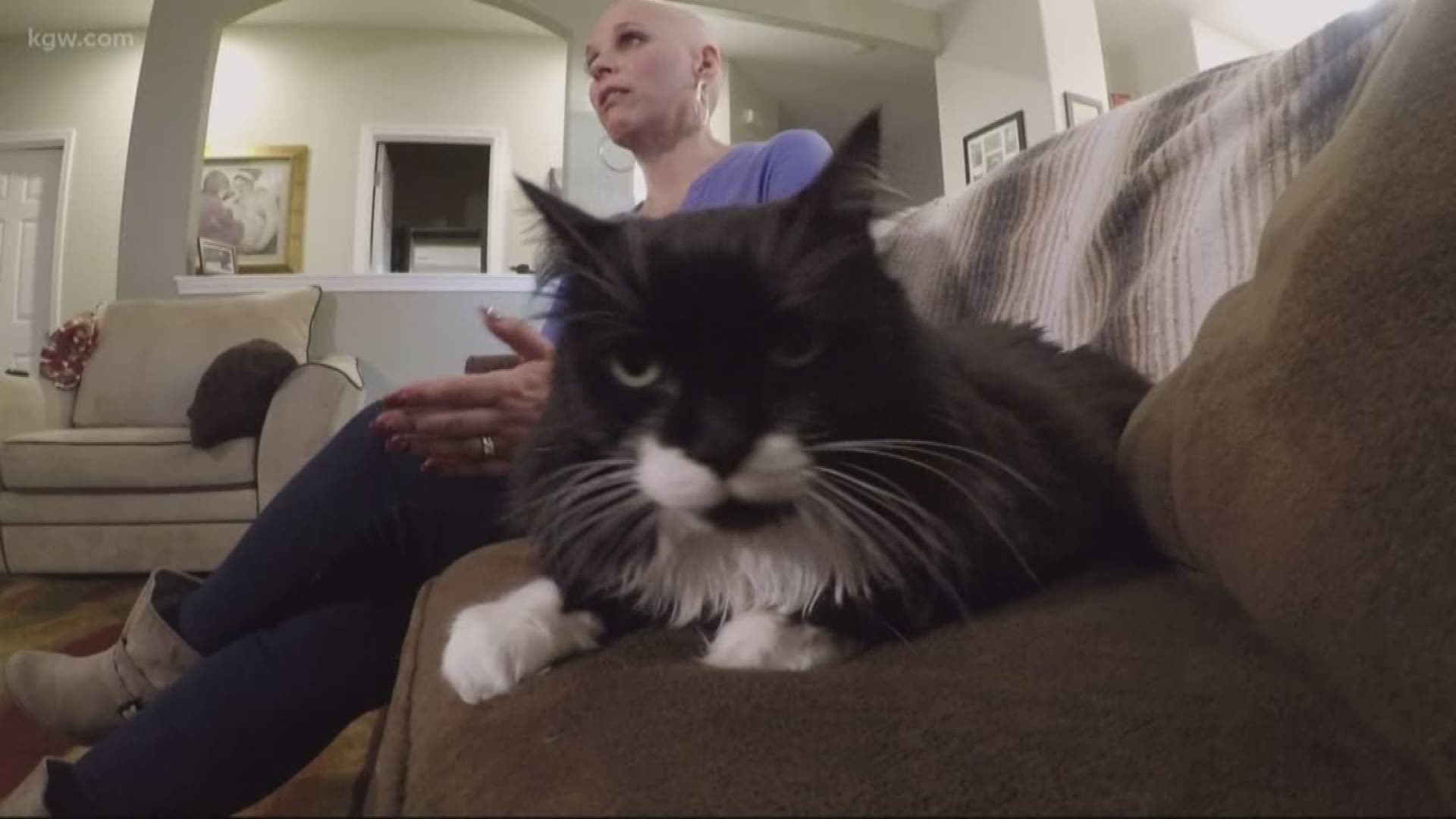 An Albany woman says she's alive today because her cat helped her detect a lump in her breast.
