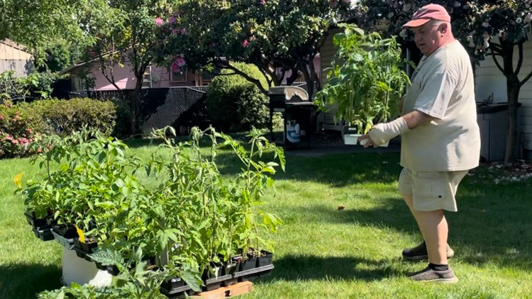 Oregon man grows, gives away thousands of free vegetable plants: 'Come over and get some plants!'