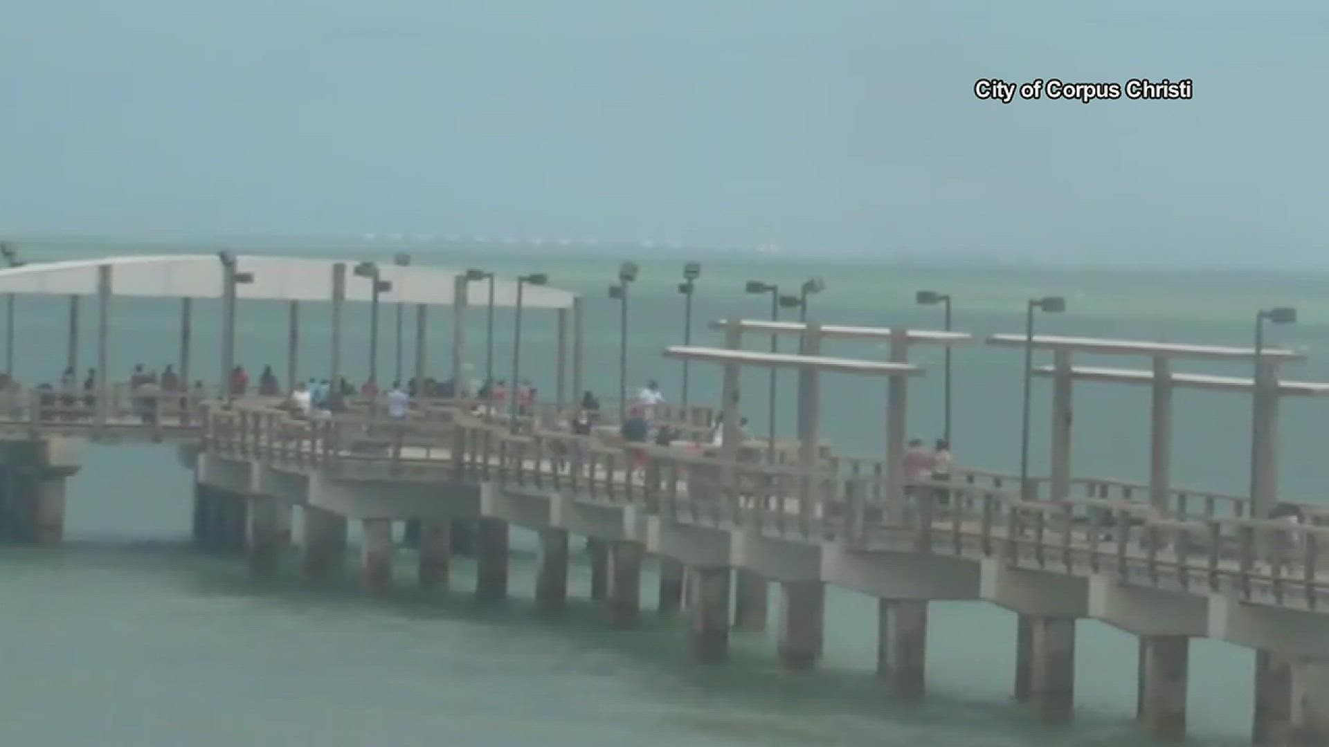 The man was charged after video showed him intentionally jumping from the pier.