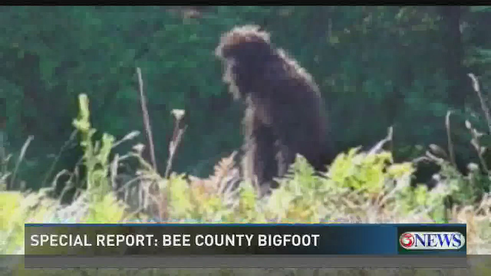 real bigfoot sightings 2022