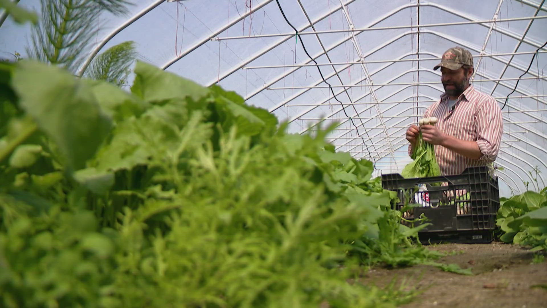 A successful program to help small farms meet the growing needs of food banks has now been eliminated.