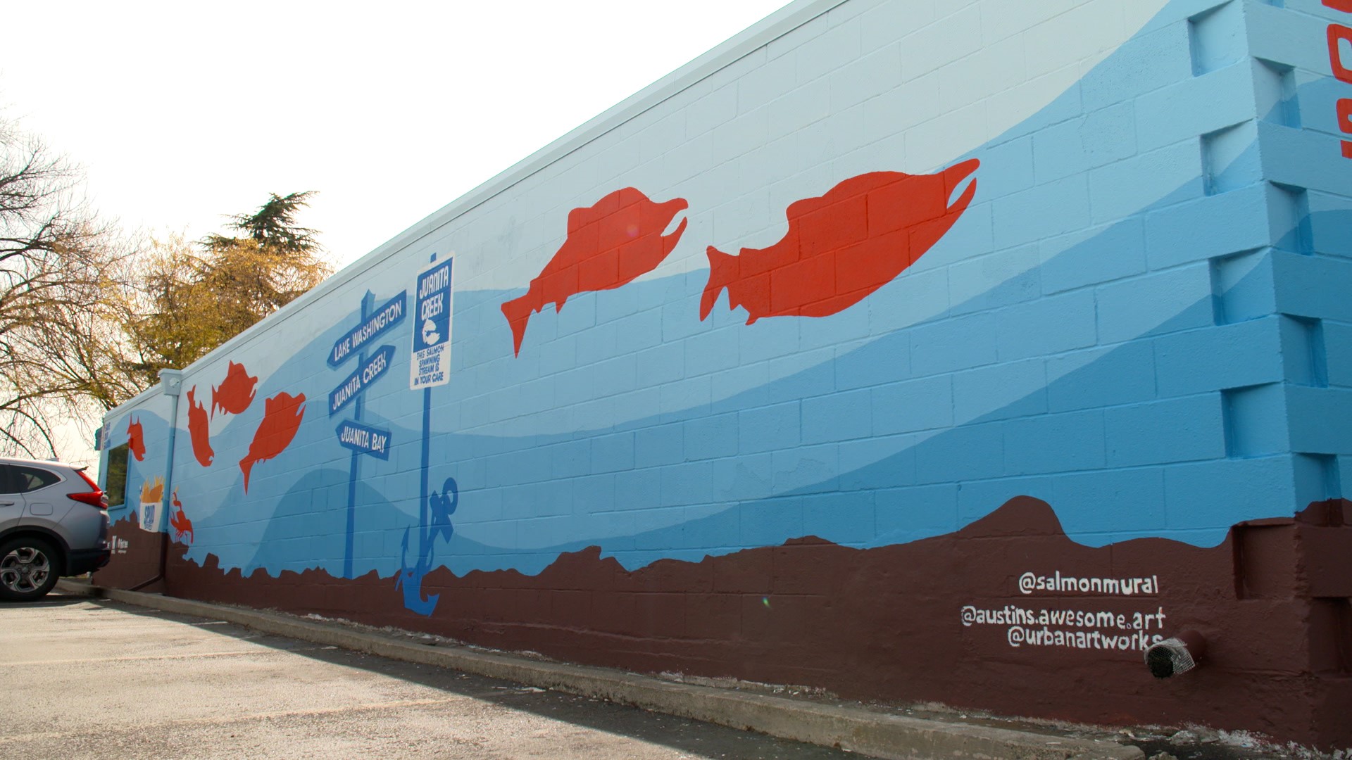 Austin Picinich is a 16-year-old acrylic painter that had the idea to paint a 112-foot mural to raise awareness for salmon restoration. #k5evening
