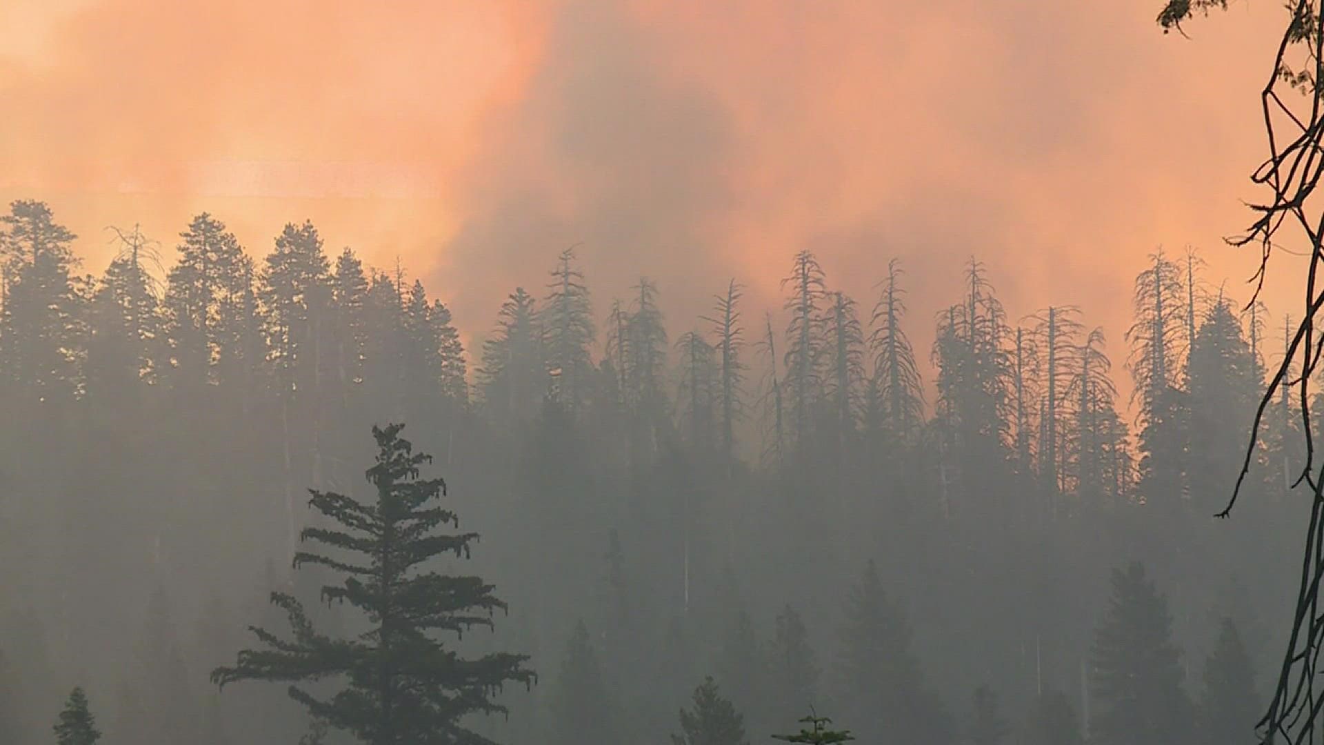 A massive fire is threatening some of the oldest tress in the world, water levels at the Great lakes are hitting an all time low and more.