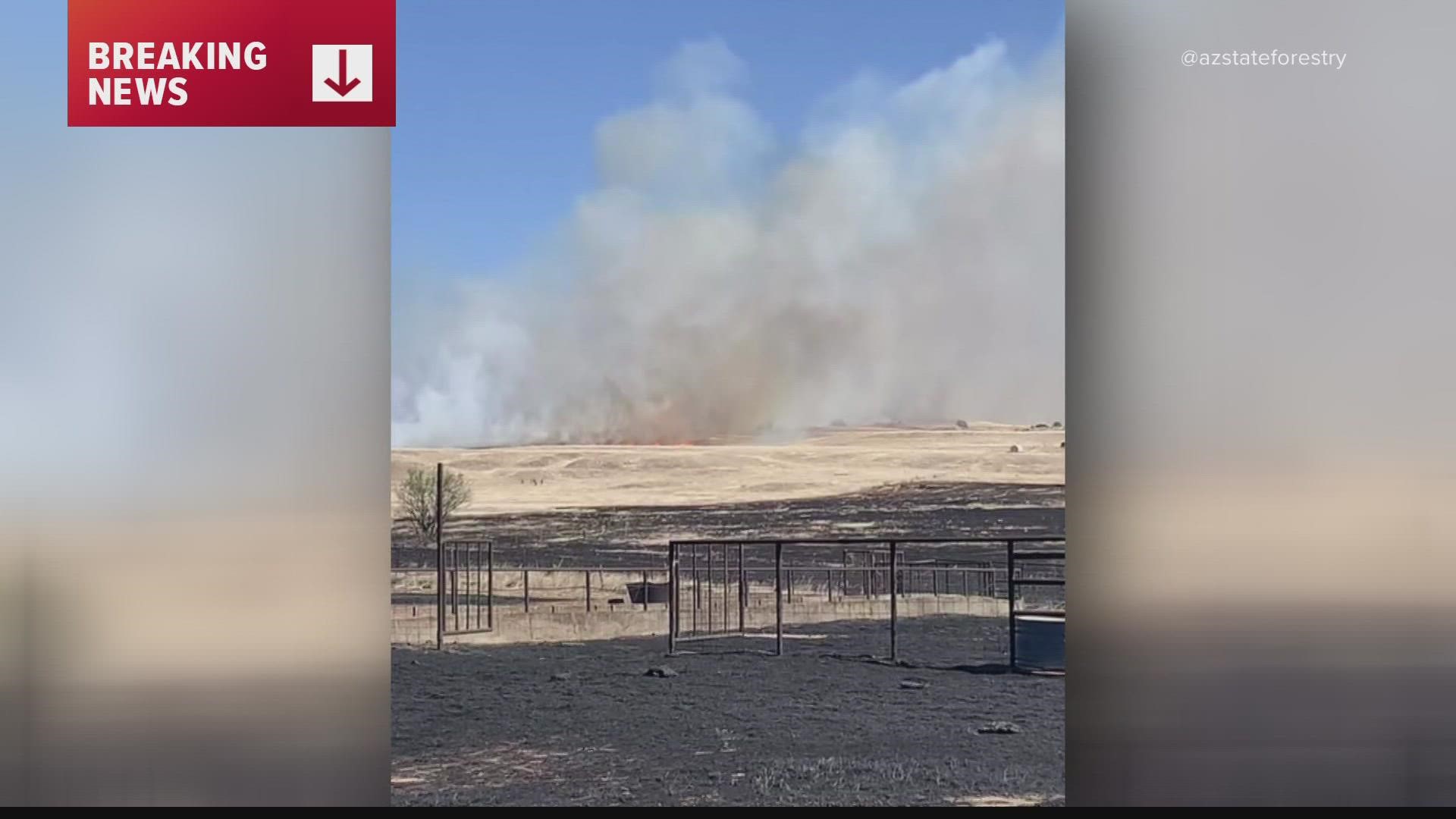 Fire crews are currently fighting the San Rafael Fire, burning 20 miles southeast of Patagonia in southern Arizona since it started on May 7.