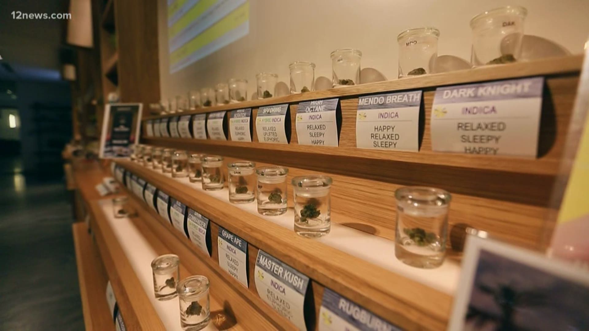 Arizona medical marijuana company to country's largest in 850