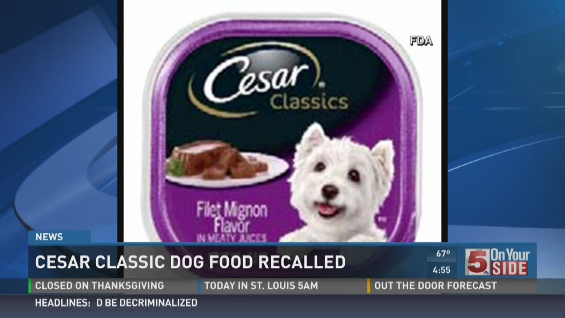 Cesar Classics dog food recalled for choking hazard