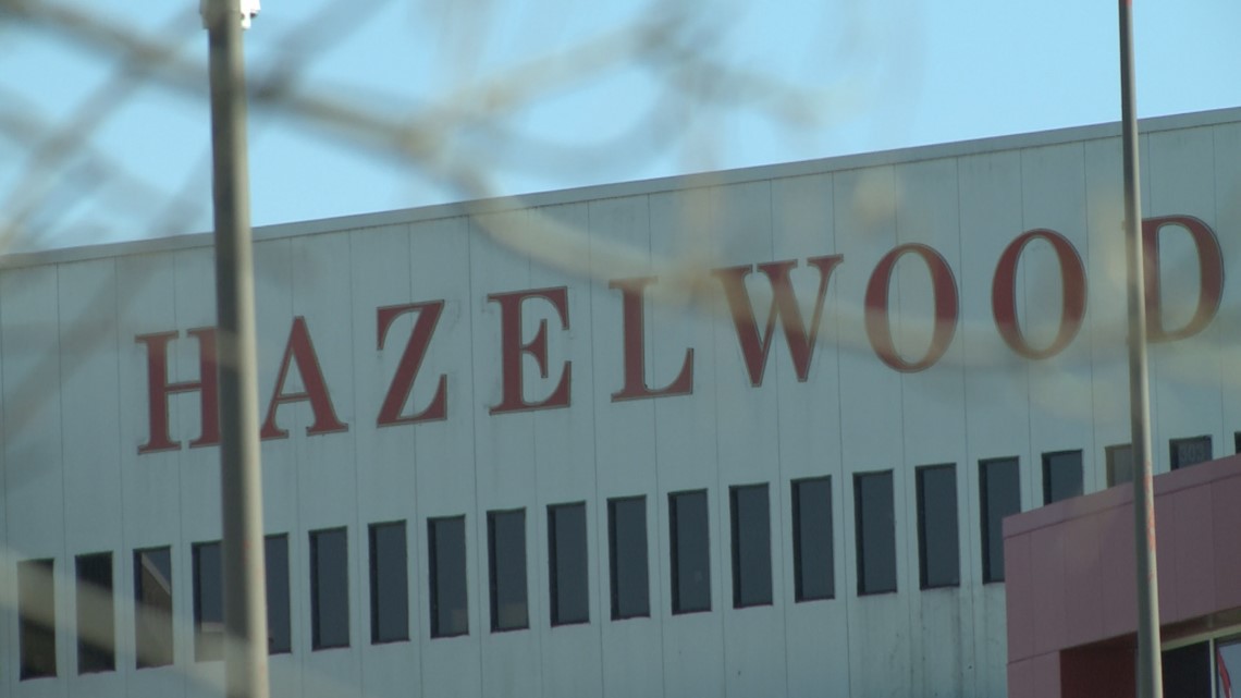 'It was horrifying': Viral Hazelwood East High School fight has parents asking how to de-escalate teen violence - Vimarsana News