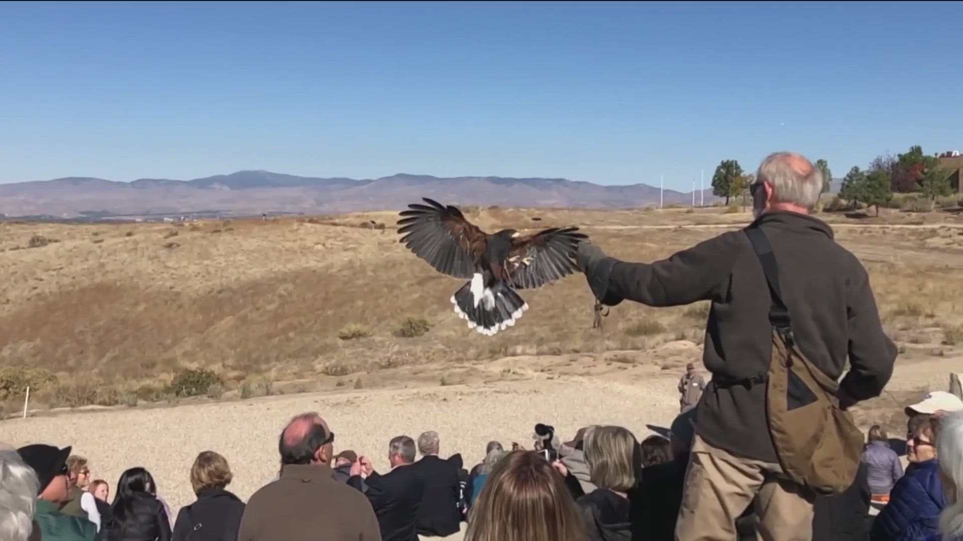 The team in Boise hosts a California Condor breeding program to help restore the population of a species that has been decimated in recent decades.