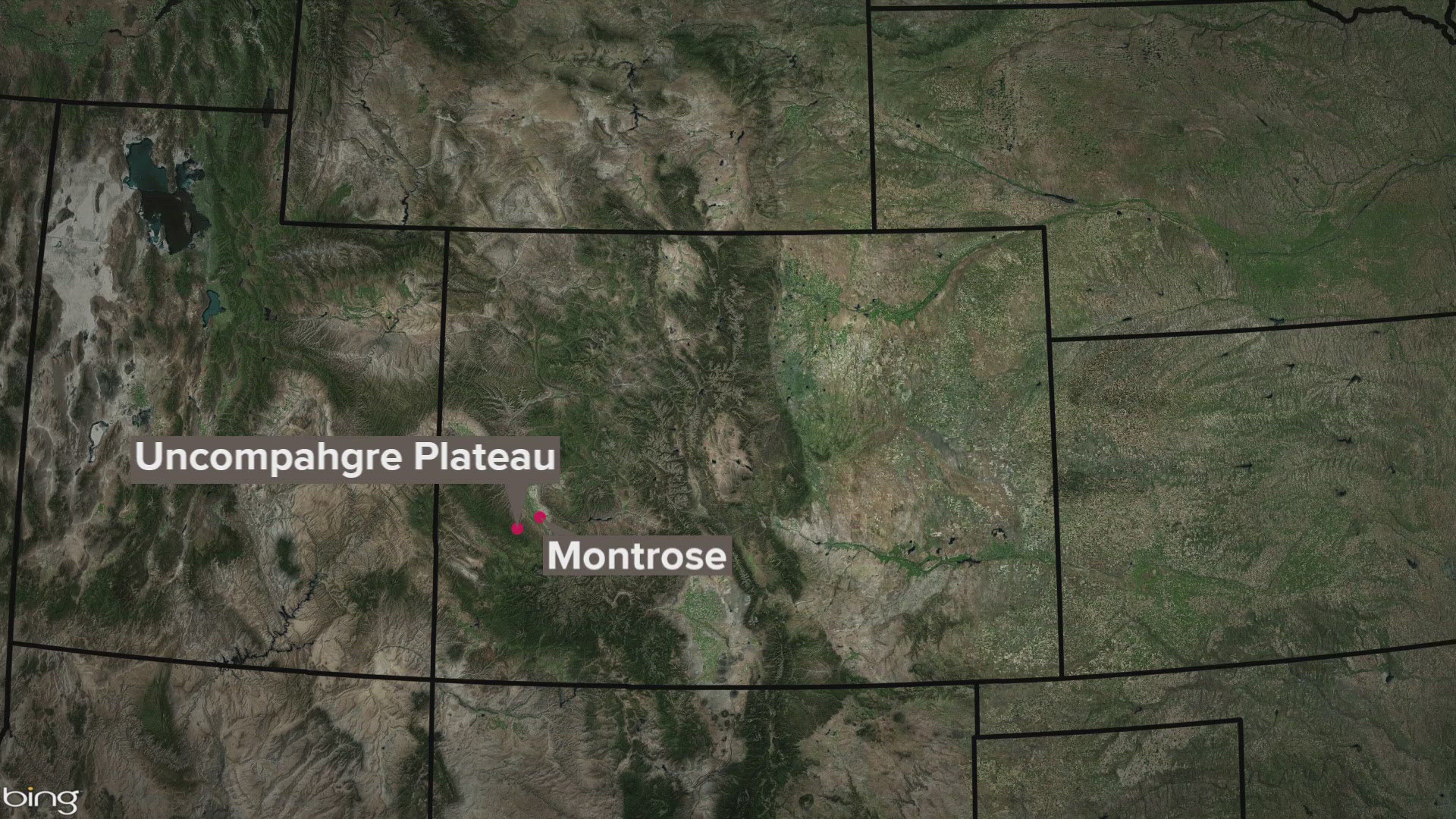 The Montrose County Sheriff's Office said the cattle were last seen grazing the Uncompahgre Plateau.