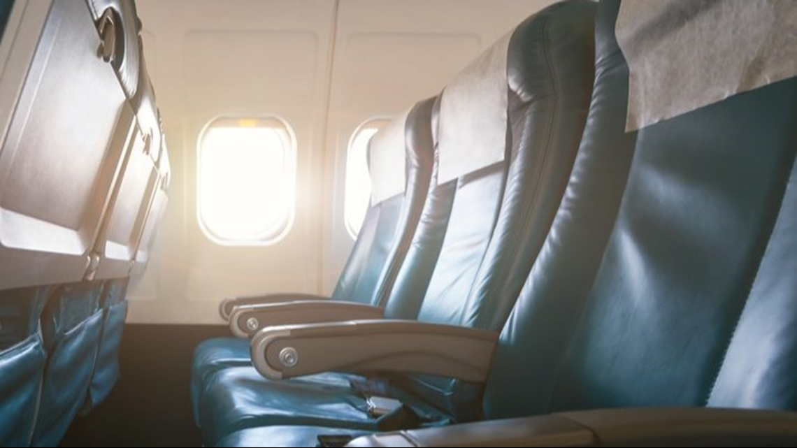 These airlines are banning ESA's - Vimarsana News