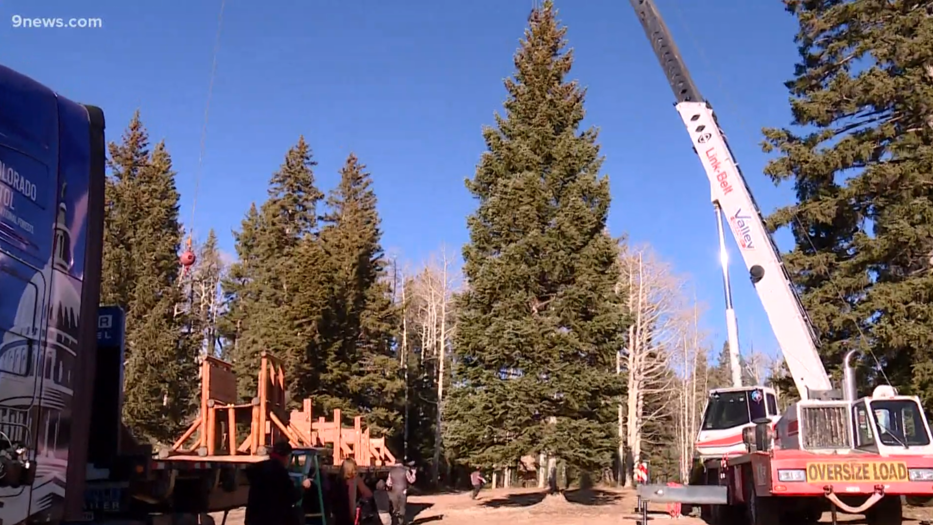 A tree cutting ceremony took place at 2:30 p.m.