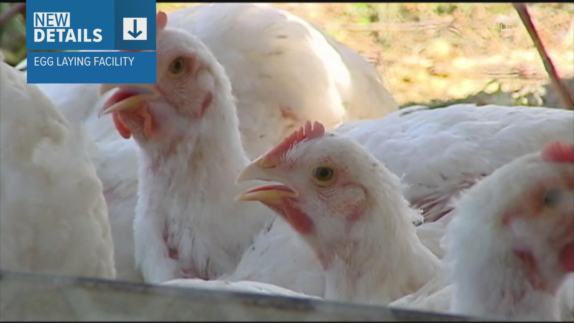 Weld is the fourth Colorado county to have known cases of Highly Pathogenic Avian Influenza.