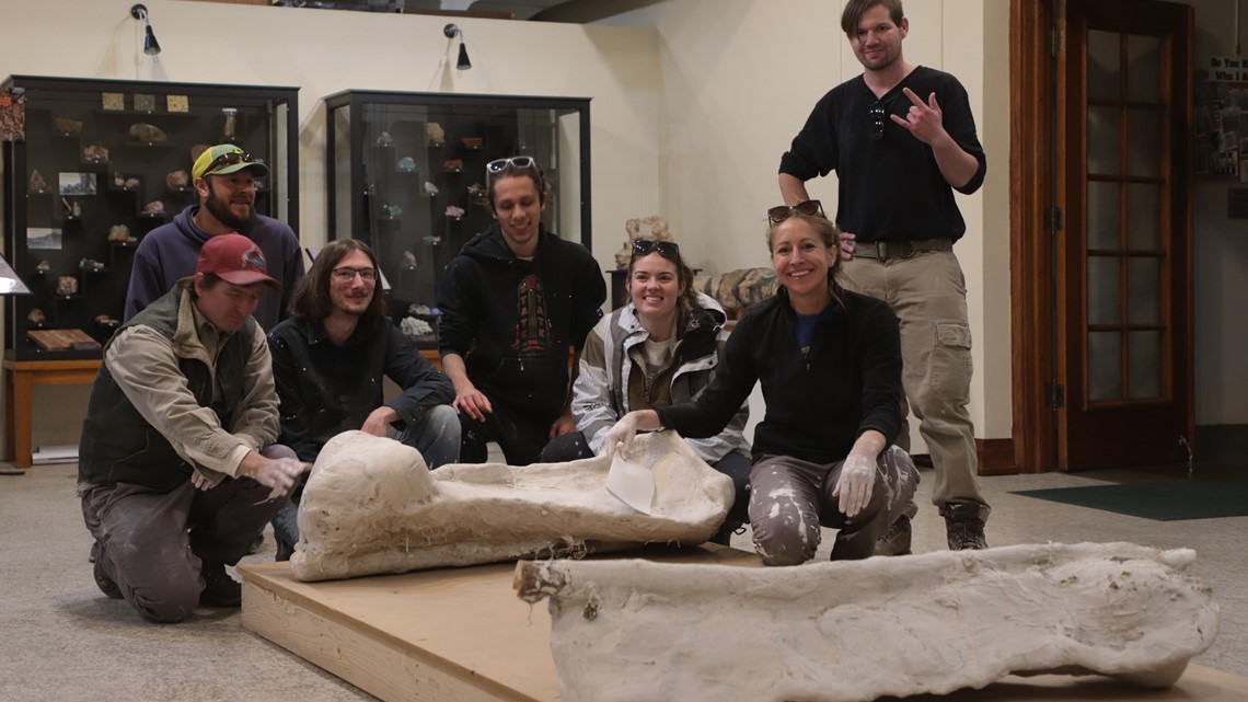 Royal Gorge fossils: 2 dinosaur leg bones found in Colorado - Vimarsana News