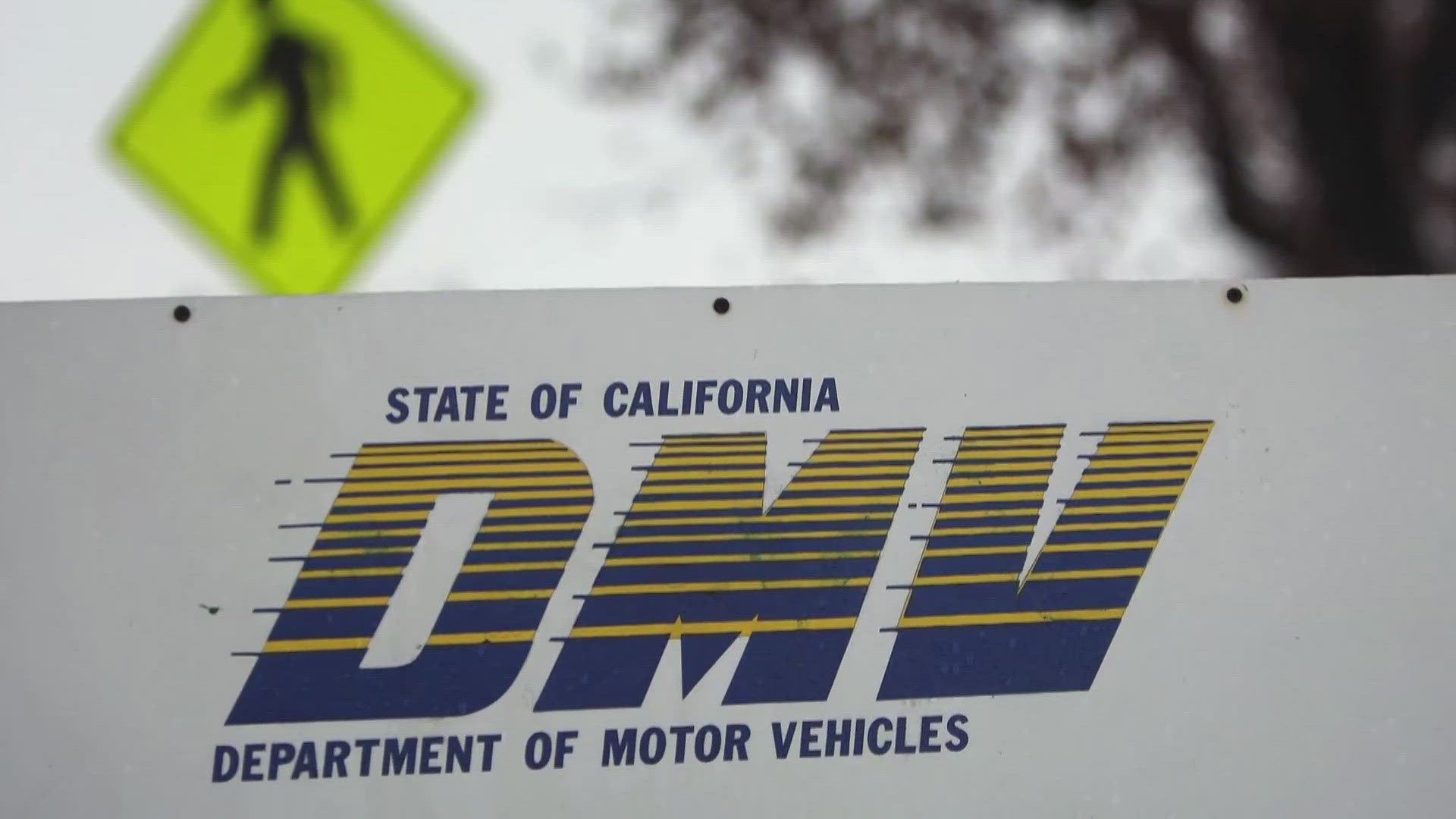 A Placerville woman spent months trying to fix a DMV error after her driver’s license was canceled due to a payment issue.