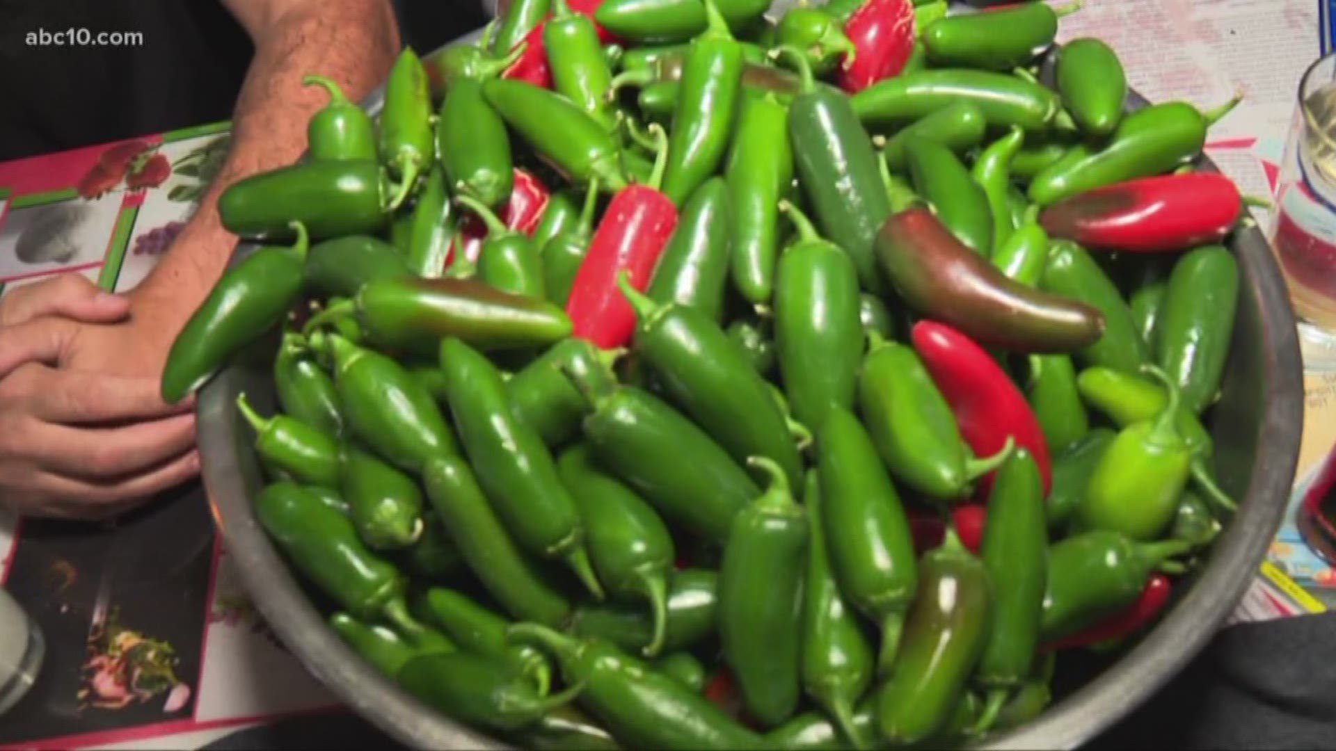 The Pepper Festival and Hot Sauce Expo is in Auburn this weekend, so we sent Mark S. Allen, the former world record holder for eating the most Jalapeno Peppers in one minute, to eat some peppers.