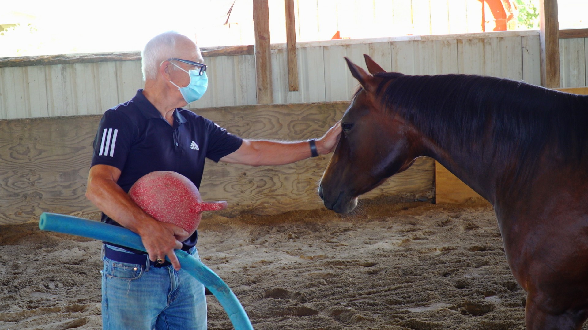 Hooves and halters provide a new kind of therapy at Freedom Equine Connection in Dixon.