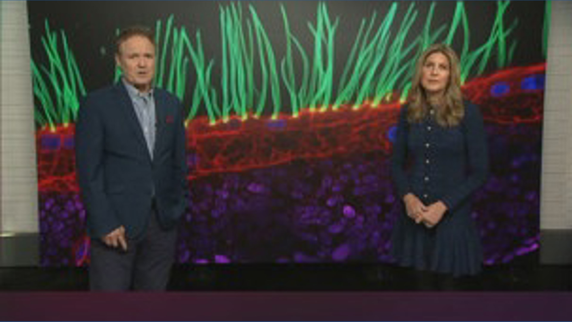 Microscope Use Guid Nikon disqualifies microscopy contest winner over generative AI use ...
