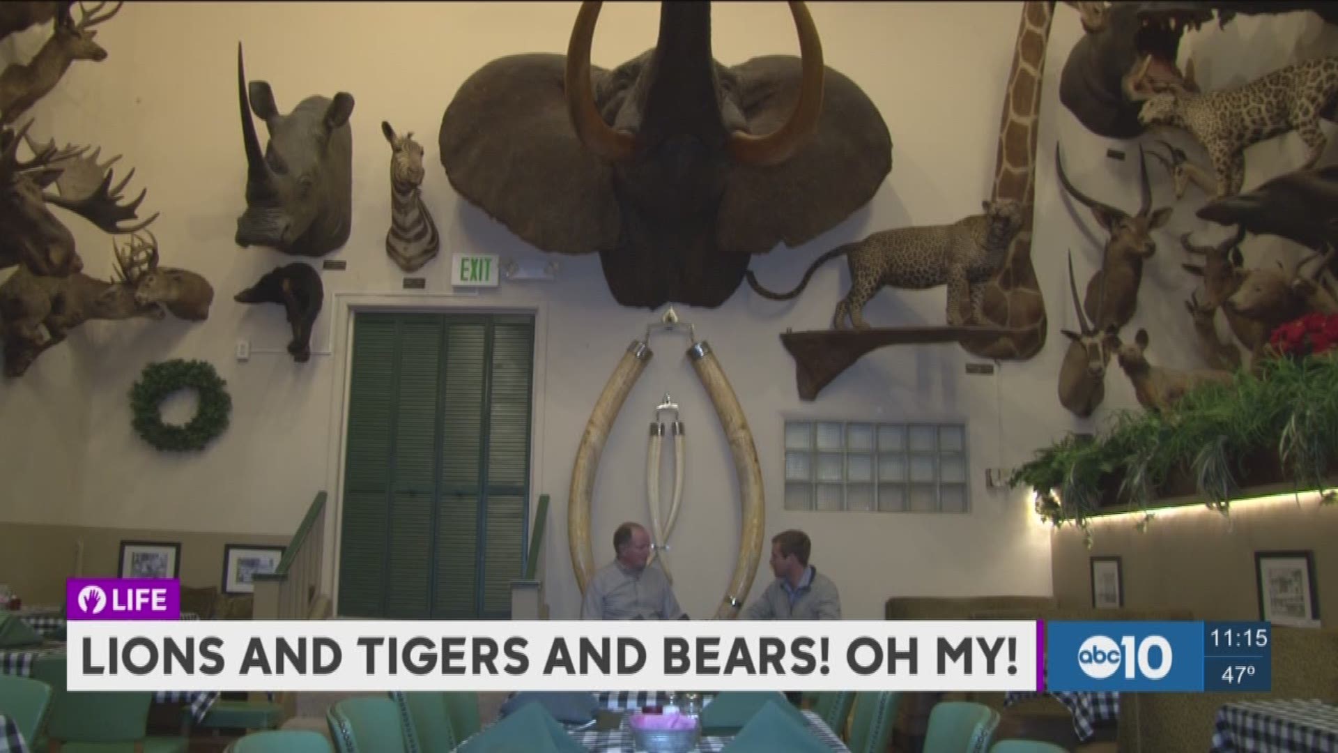 One restaurant has more than 250 animal heads decorating its walls. (Jan. 4, 2017)