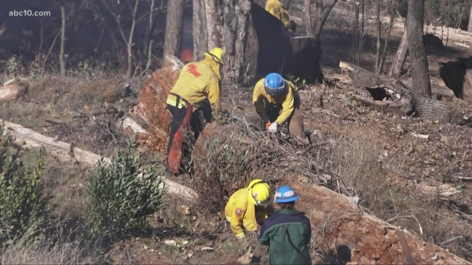 Cal Fire said Northern California is having its driest February since 1864, which makes the conditions ideal for an early wildfire season.