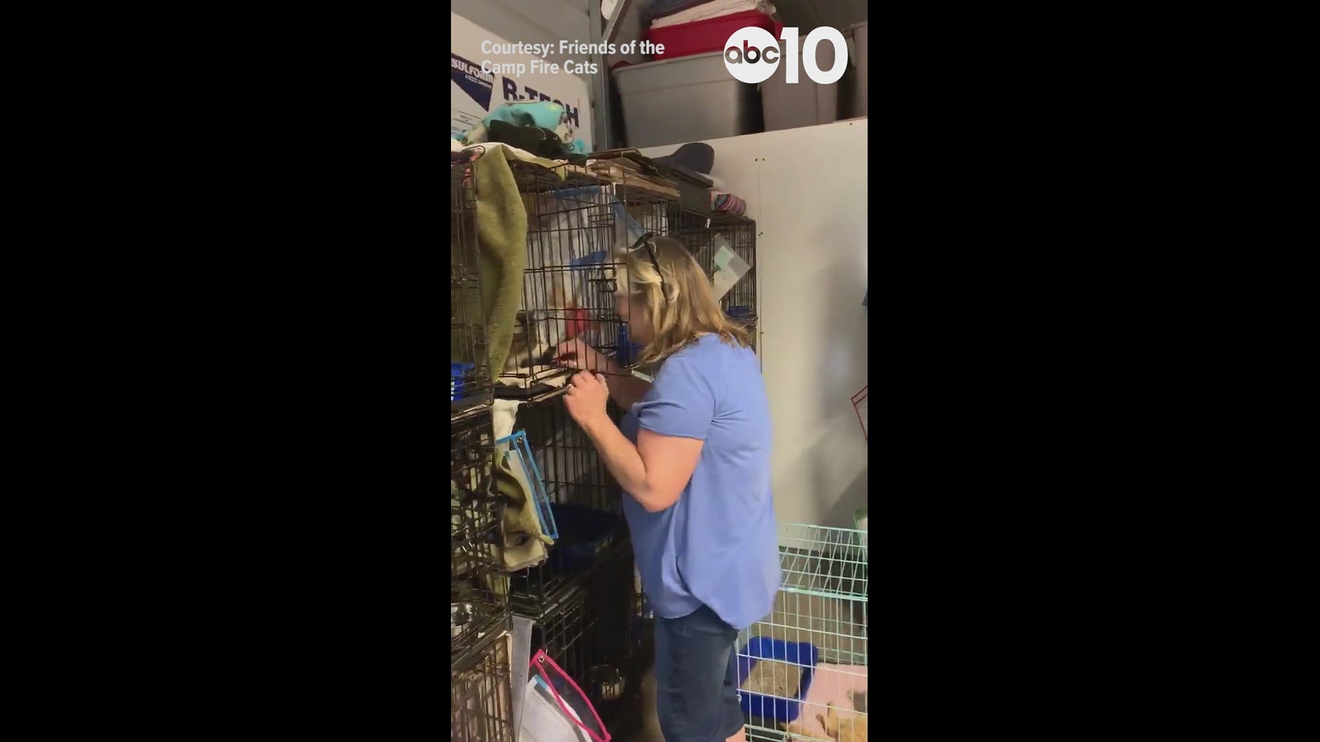Julie Walker was reunited with her cat, Jellybean, thanks to Friends of the Camp Fire Cats.